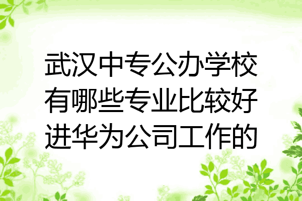 武汉中专公办学校有哪些专业比较好进华为公司工作的
