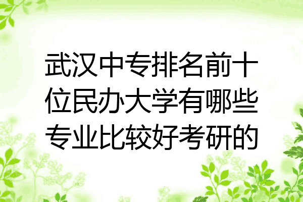 武汉中专排名前十位民办大学有哪些专业比较好考研的