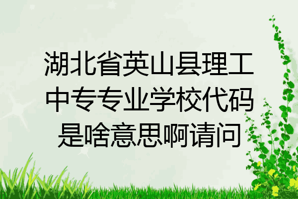 湖北省英山县理工中专专业学校代码是啥意思啊请问