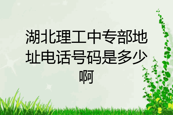 湖北理工中专部地址电话号码是多少啊