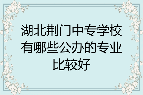 湖北荆门中专学校有哪些公办的专业比较好