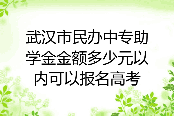 武汉市民办中专助学金金额多少元以内可以报名高考