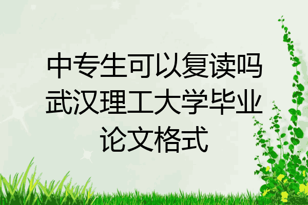 中专生可以复读吗武汉理工大学毕业论文格式