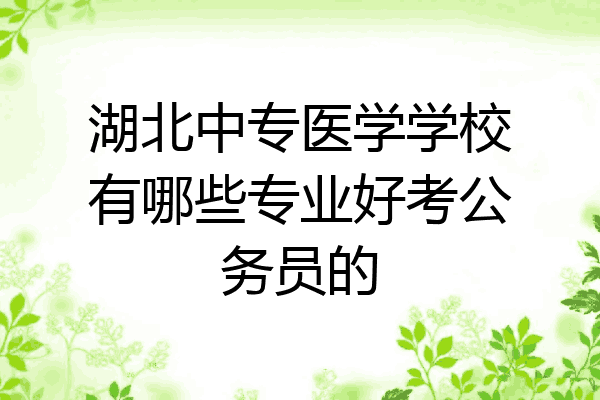 湖北中专医学学校有哪些专业好考公务员的