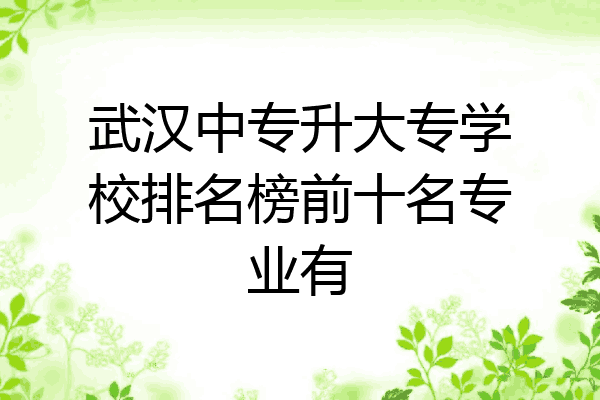 武汉中专升大专学校排名榜前十名专业有
