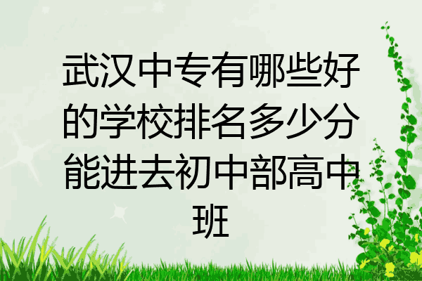 武汉中专有哪些好的学校排名多少分能进去初中部高中班