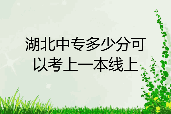 湖北中专多少分可以考上一本线上
