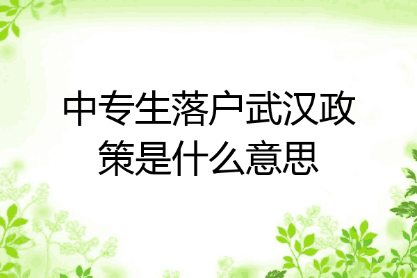 中专生落户武汉政策是什么意思