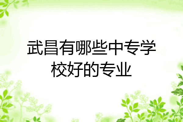 武昌有哪些中专学校好的专业