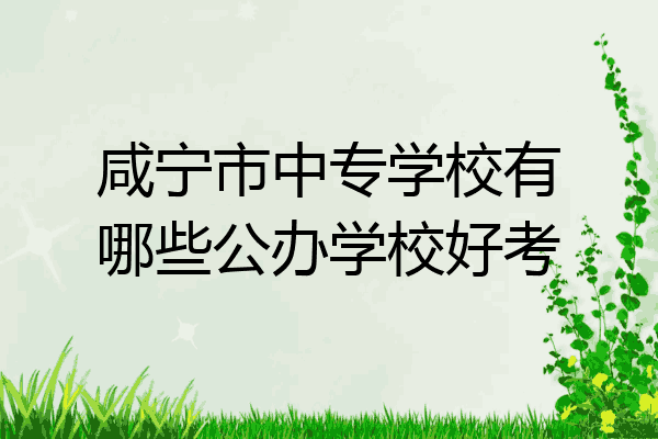 咸宁市中专学校有哪些公办学校好考