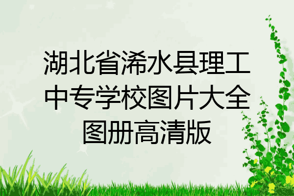 湖北省浠水县理工中专学校图片大全图册高清版