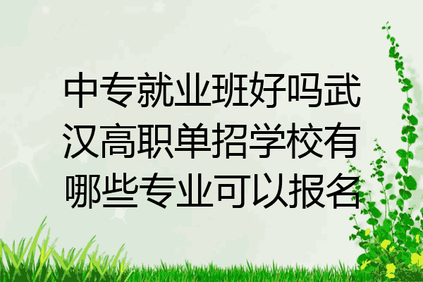 中专就业班好吗武汉高职单招学校有哪些专业可以报名