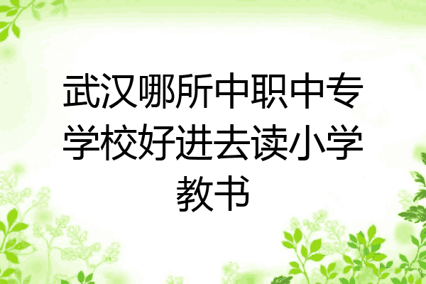 武汉哪所中职中专学校好进去读小学教书