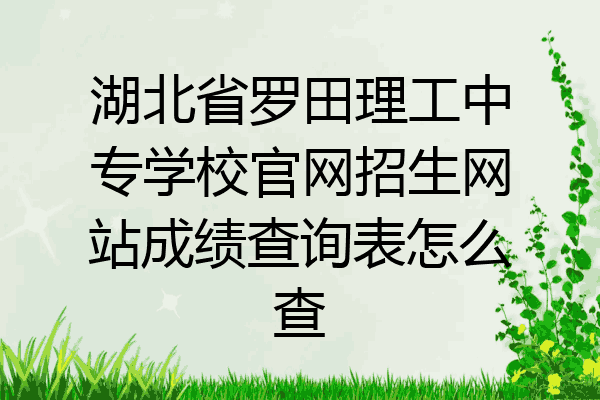 湖北省罗田理工中专学校官网招生网站成绩查询表怎么查