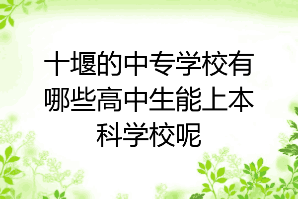 十堰的中专学校有哪些高中生能上本科学校呢