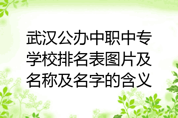 武汉公办中职中专学校排名表图片及名称及名字的含义