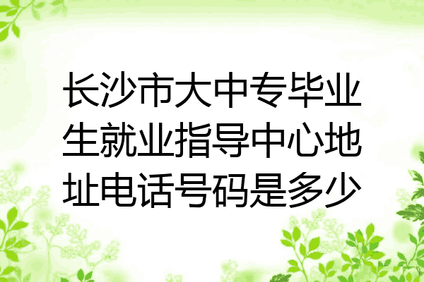 长沙市大中专毕业生就业指导中心地址电话号码是多少