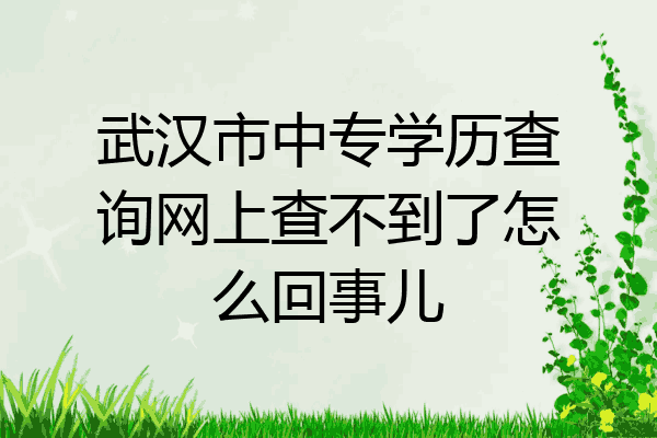 武汉市中专学历查询网上查不到了怎么回事儿