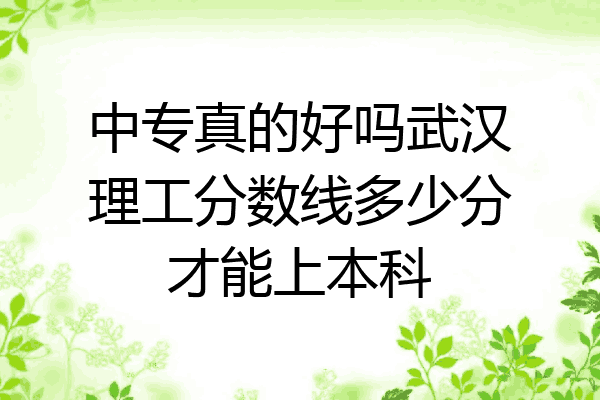 中专真的好吗武汉理工分数线多少分才能上本科