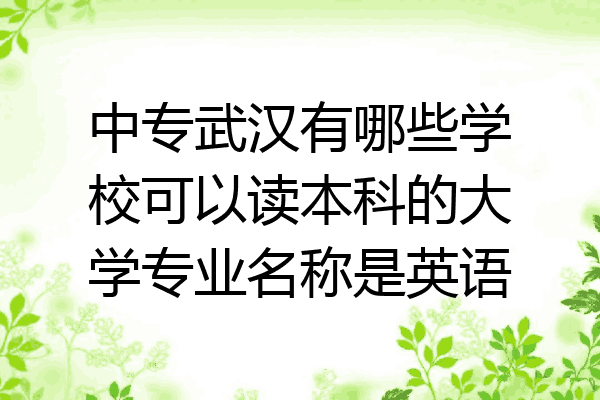 中专武汉有哪些学校可以读本科的大学专业名称是英语