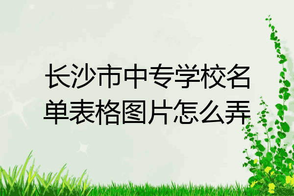 长沙市中专学校名单表格图片怎么弄
