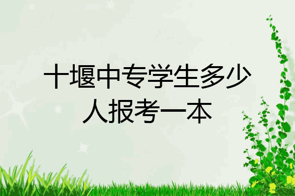 十堰中专学生多少人报考一本