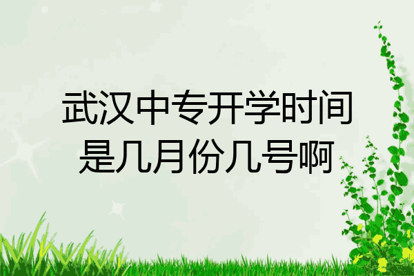 武汉中专开学时间是几月份几号啊