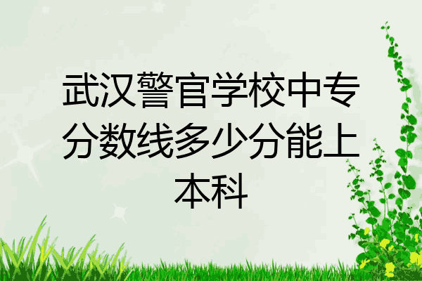 武汉警官学校中专分数线多少分能上本科