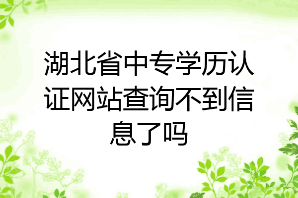 湖北省中专学历认证网站查询不到信息了吗