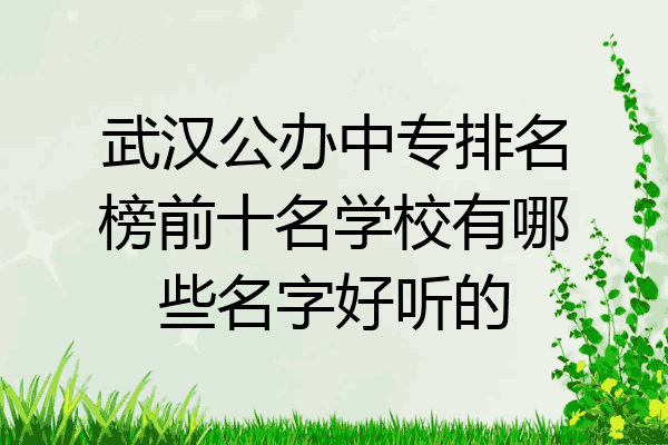 武汉公办中专排名榜前十名学校有哪些名字好听的