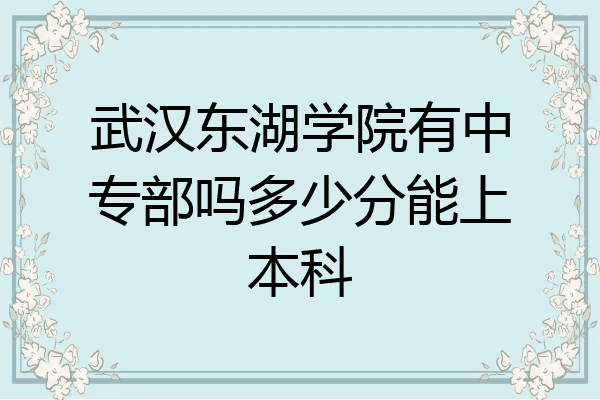 武汉东湖学院有中专部吗多少分能上本科