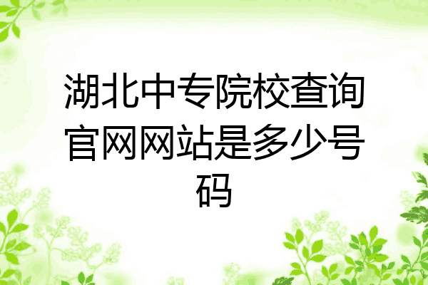湖北中专院校查询官网网站是多少号码