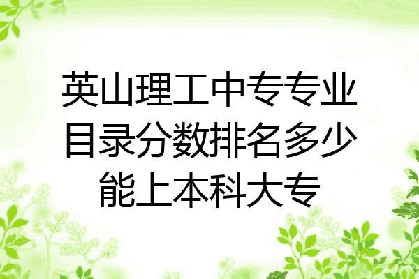 英山理工中专专业目录分数排名多少能上本科大专