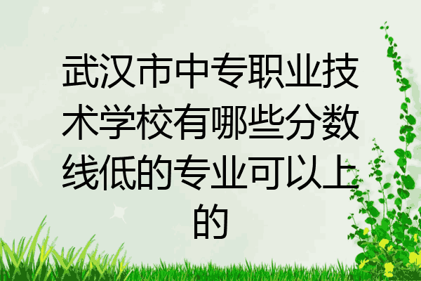 武汉市中专职业技术学校有哪些分数线低的专业可以上的