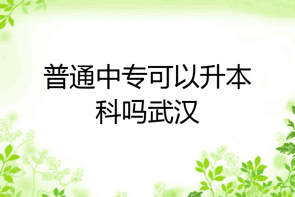 普通中专可以升本科吗武汉