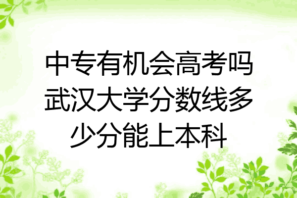 中专有机会高考吗武汉大学分数线多少分能上本科