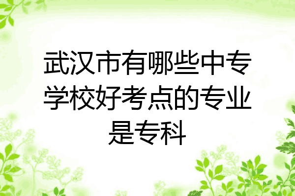 武汉市有哪些中专学校好考点的专业是专科