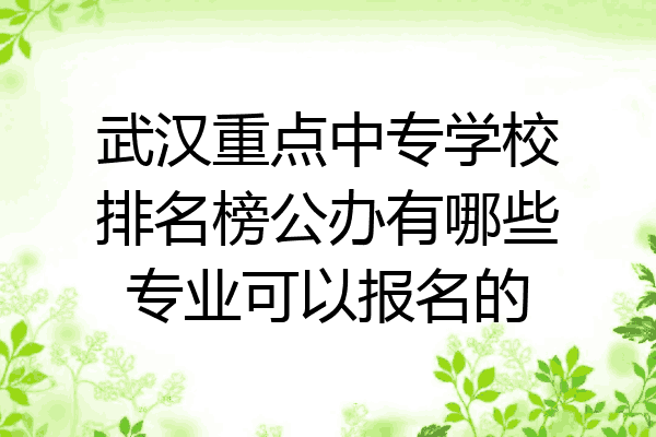 武汉重点中专学校排名榜公办有哪些专业可以报名的