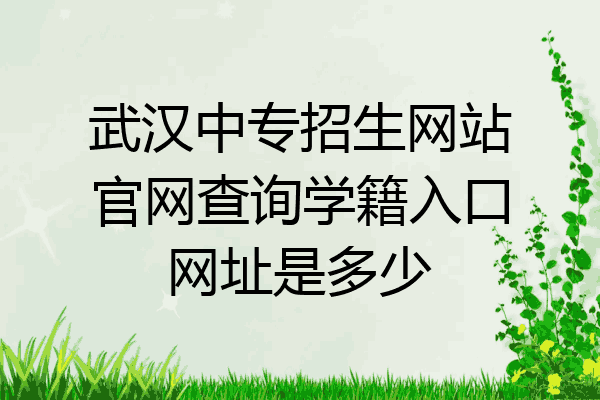武汉中专招生网站官网查询学籍入口网址是多少