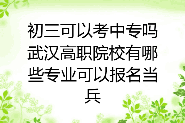 初三可以考中专吗武汉高职院校有哪些专业可以报名当兵