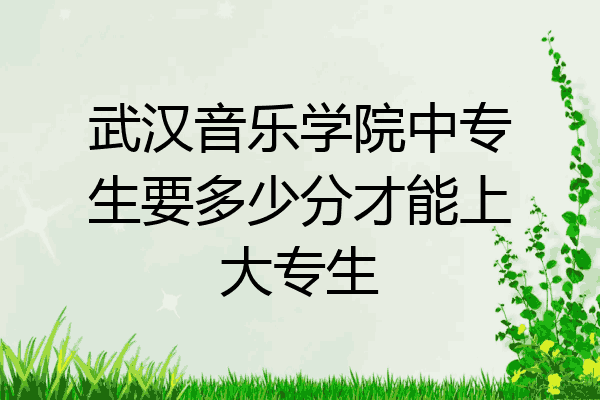 武汉音乐学院中专生要多少分才能上大专生