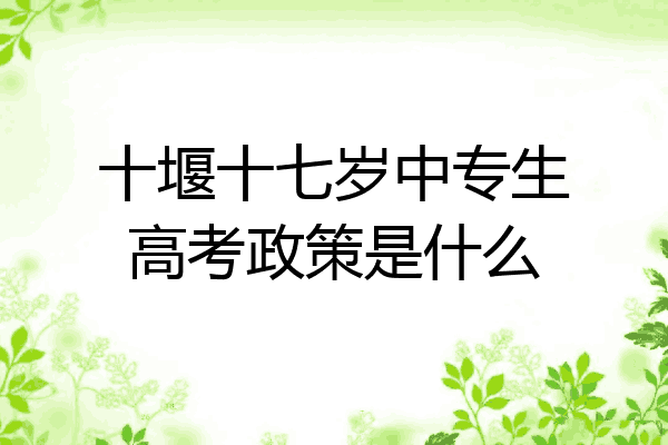 十堰十七岁中专生高考政策是什么