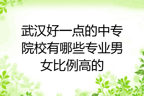 武汉好一点的中专院校有哪些专业男女比例高的