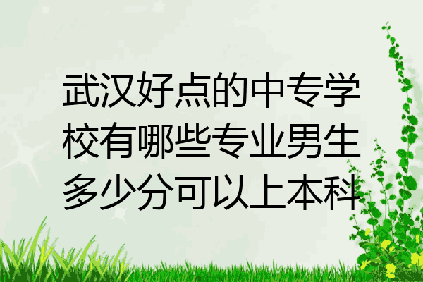 武汉好点的中专学校有哪些专业男生多少分可以上本科
