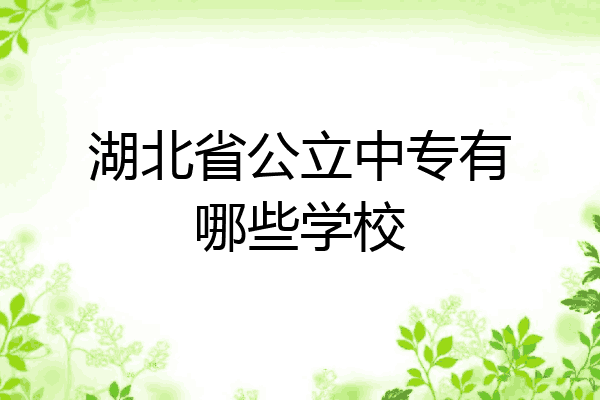 湖北省公立中专有哪些学校