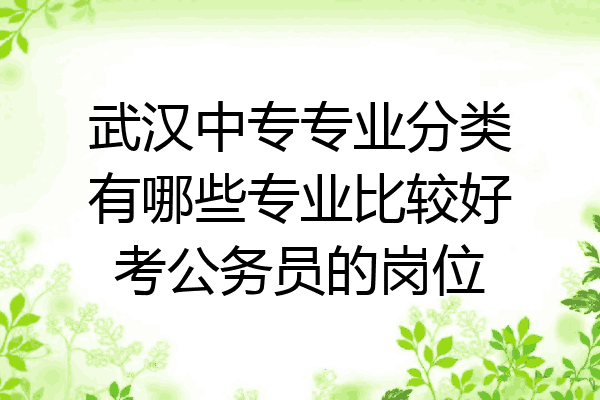 武汉中专专业分类有哪些专业比较好考公务员的岗位