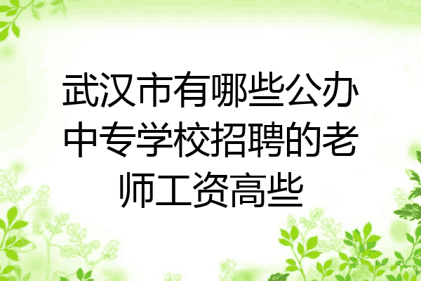 武汉市有哪些公办中专学校招聘的老师工资高些