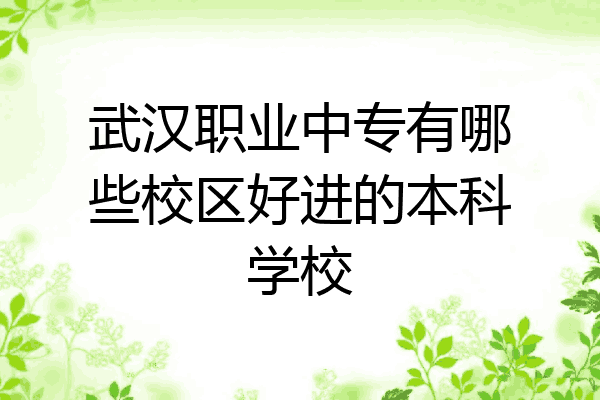 武汉职业中专有哪些校区好进的本科学校