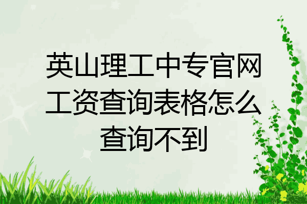 英山理工中专官网工资查询表格怎么查询不到