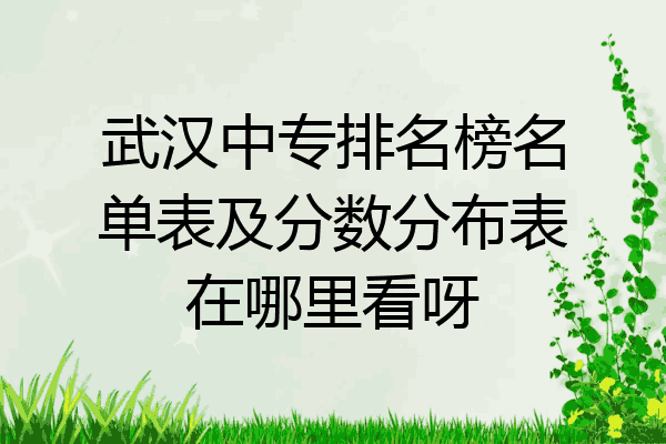 武汉中专排名榜名单表及分数分布表在哪里看呀